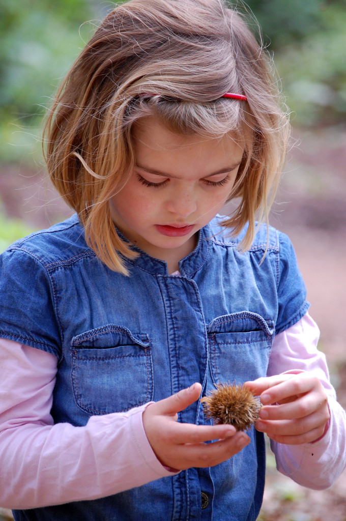 Learning through nature