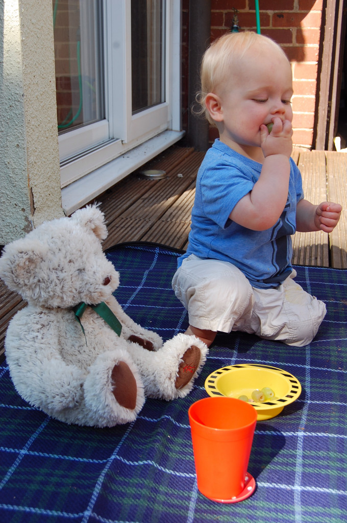 House of Fraser teddy bear picnic