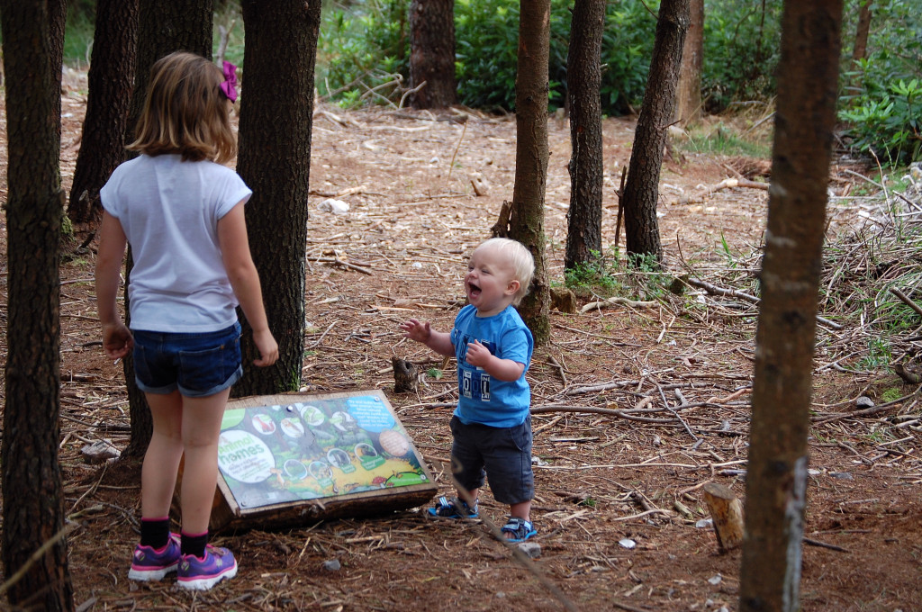 Haldon Forest Gruffalo Trail