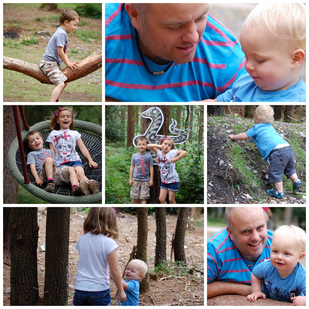 Haldon Forest Gruffalo Trail