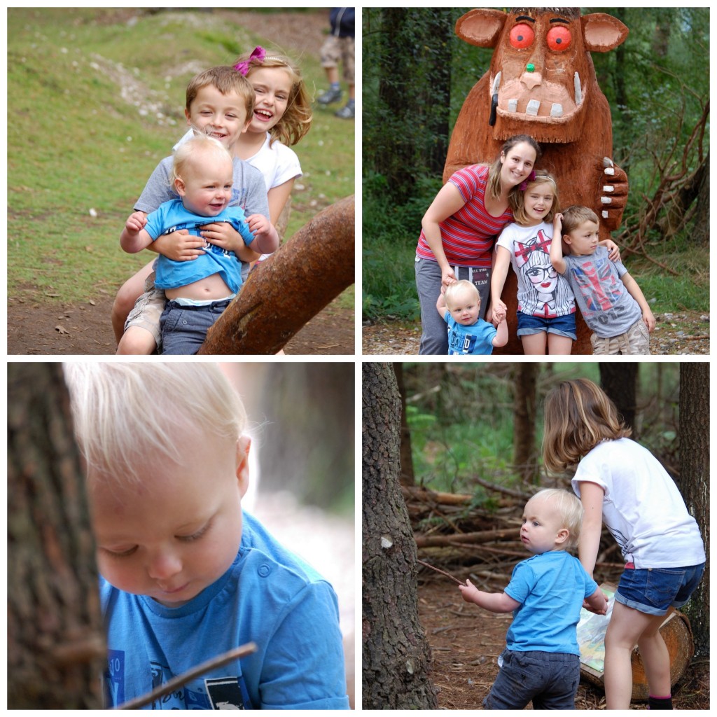 Haldon Forest Gruffalo Trail