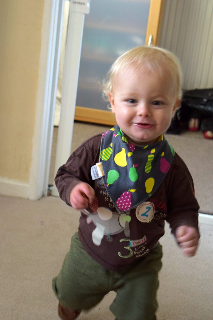 Funky Giraffe bib review