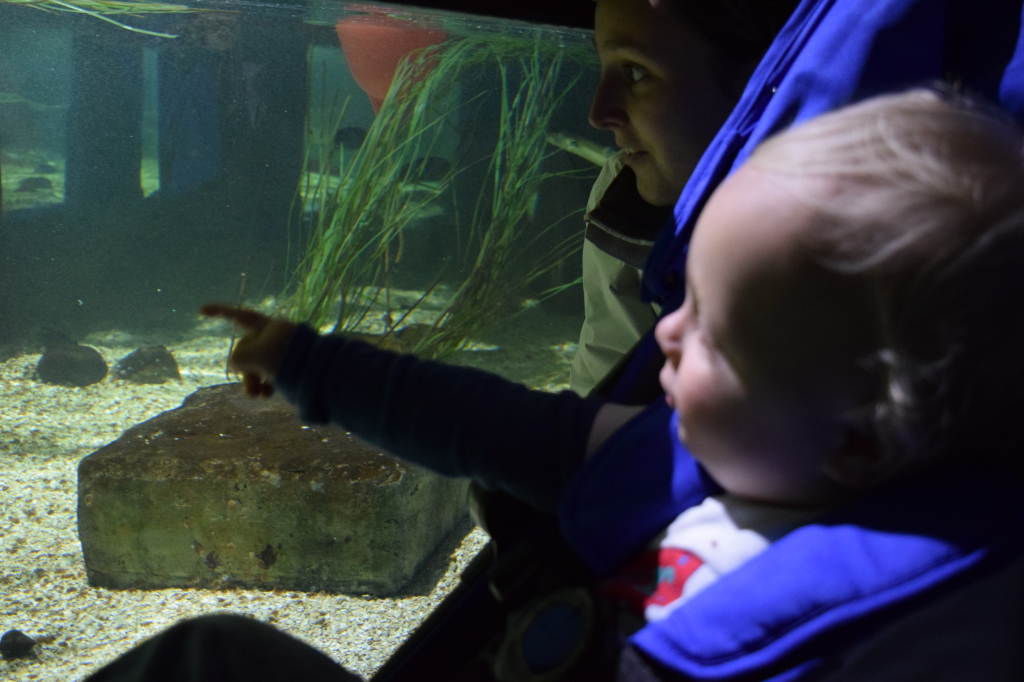 SeaLife Centre Weymouth review