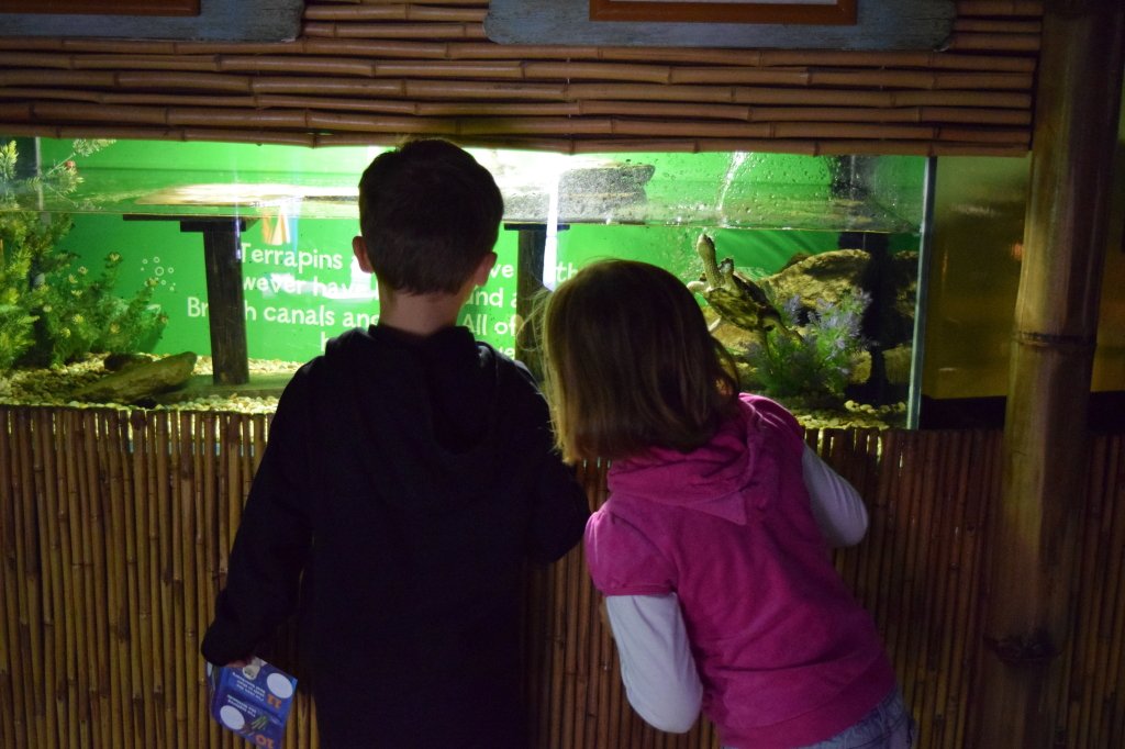 SeaLife Centre Weymouth review