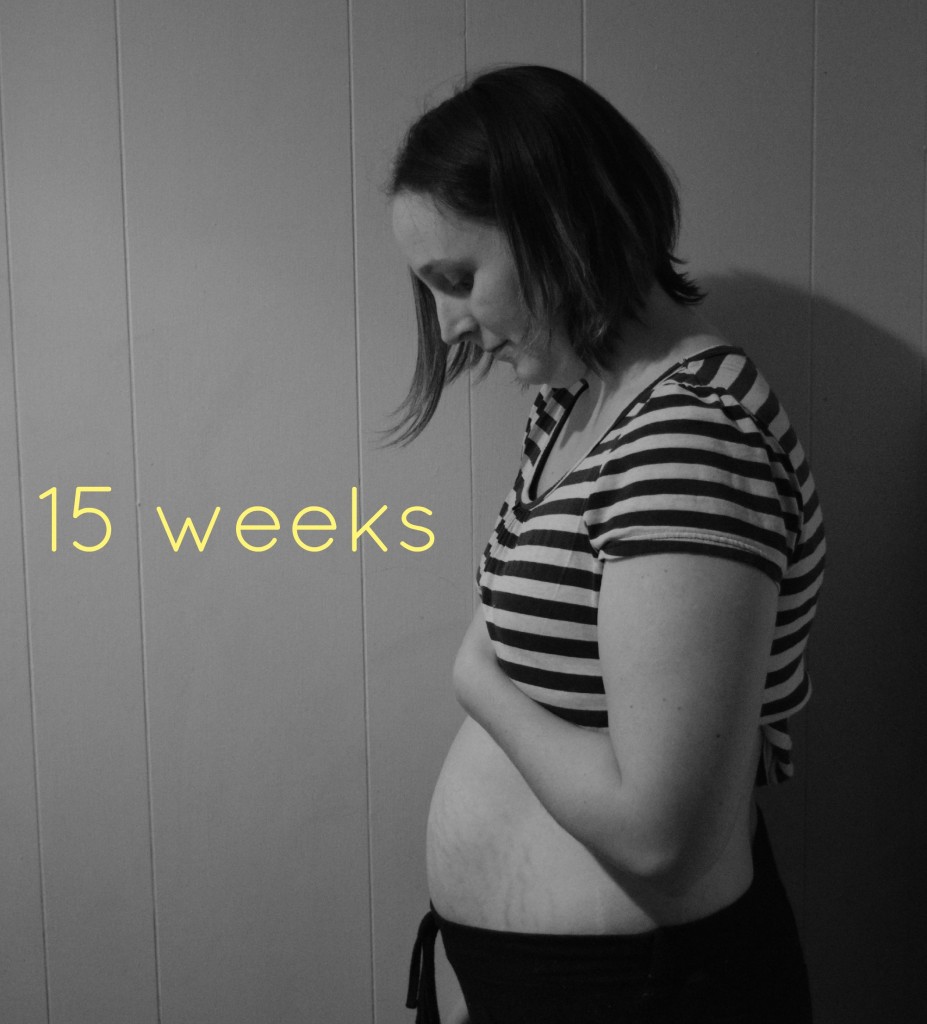 bump watch, 15 weeks