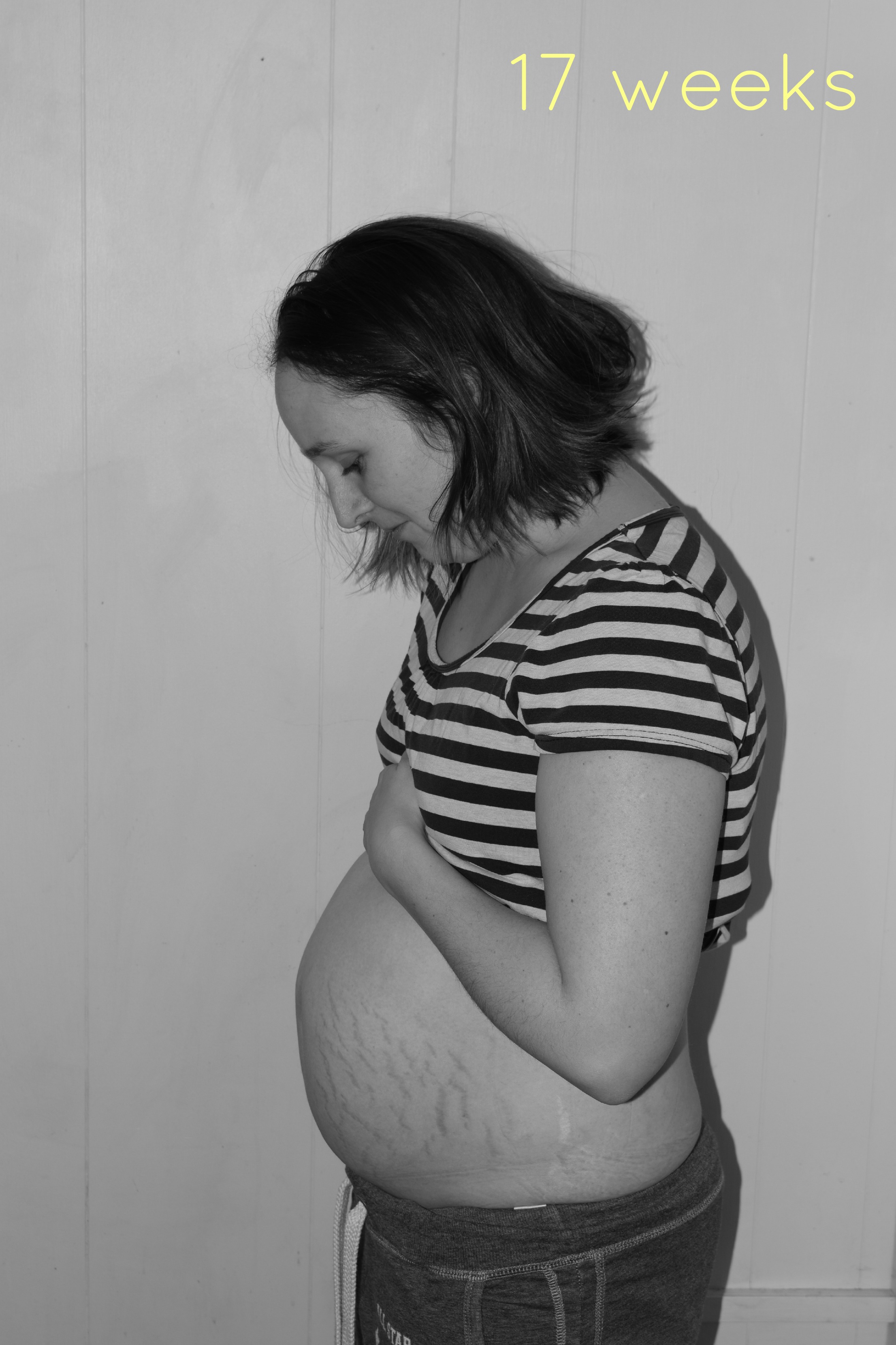 bump-watch-17-weeks-family-fever