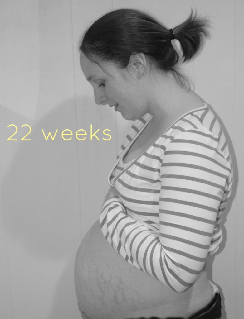 bump watch, 22 weeks