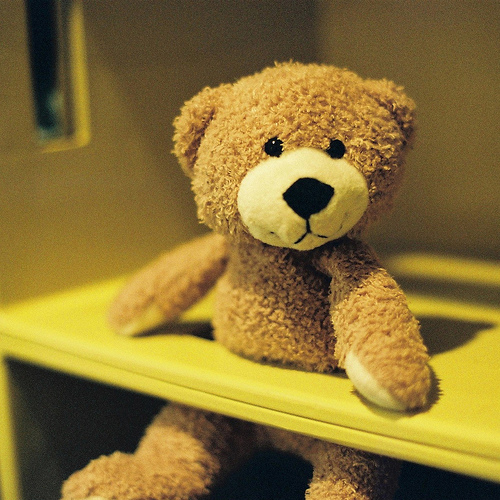 A teddy bear – the perfect gift!