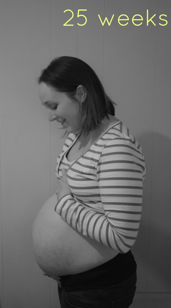 travel 25 weeks pregnant