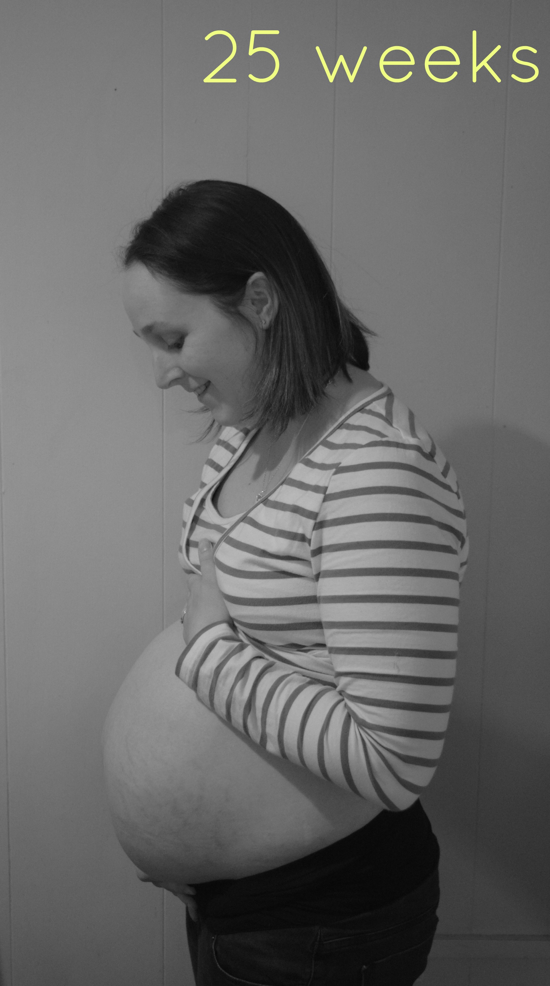 Bump Watch 25 Weeks Family Fever