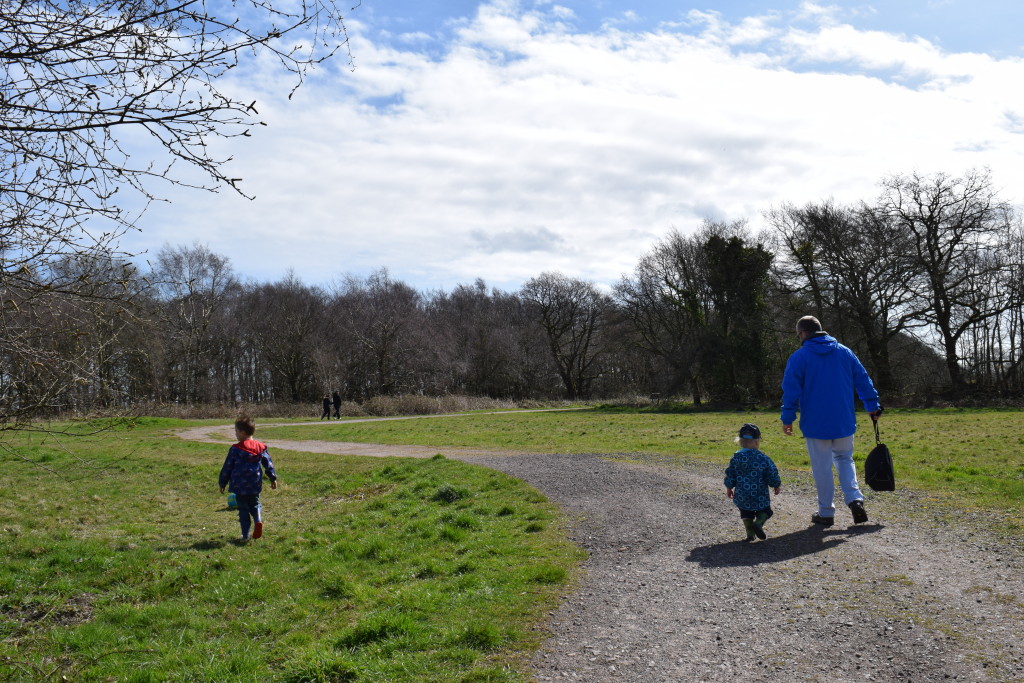 Wellington Monument