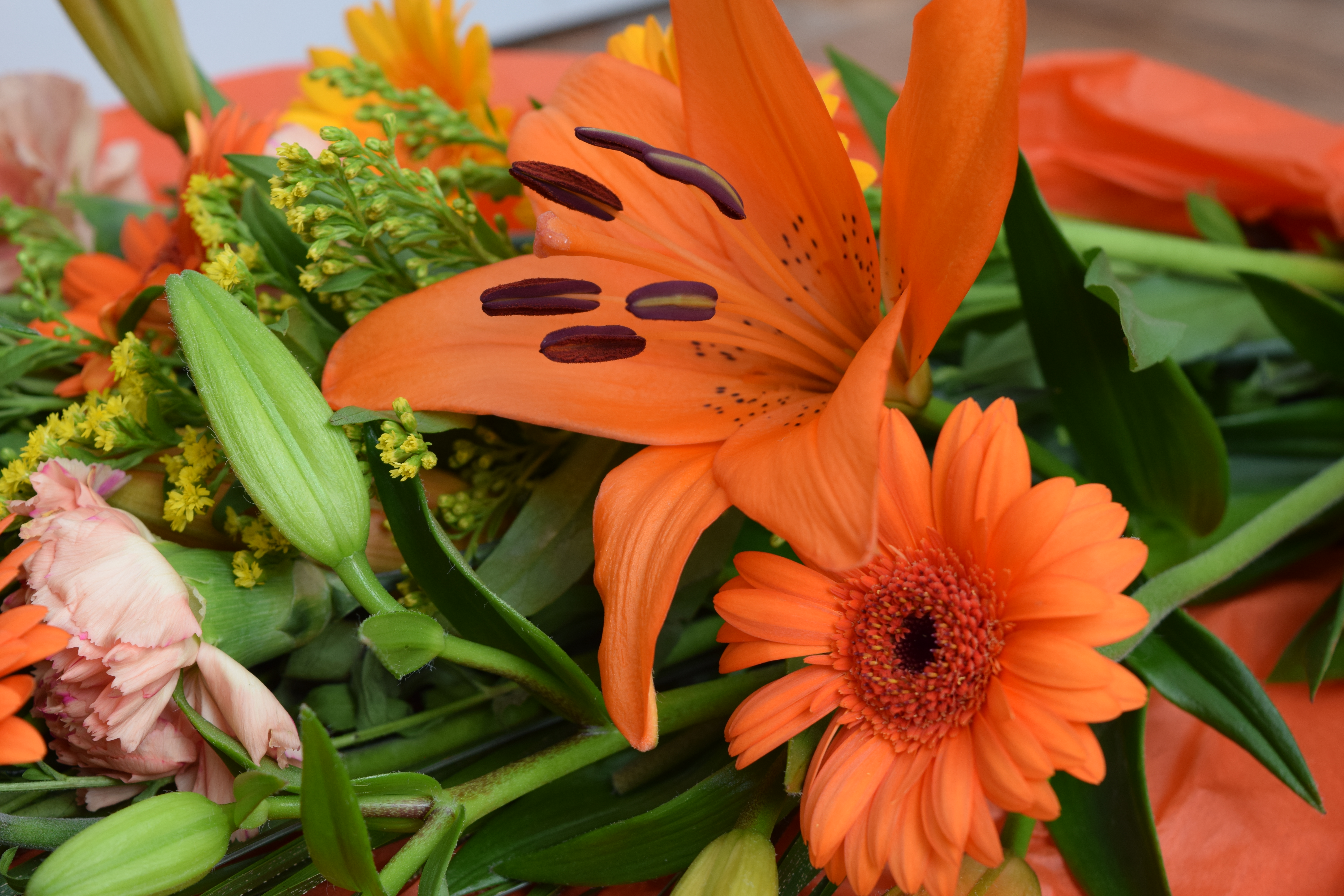 Review FloraQueen flowers Family Fever