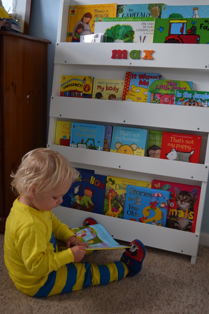 Tidy Books bookcase