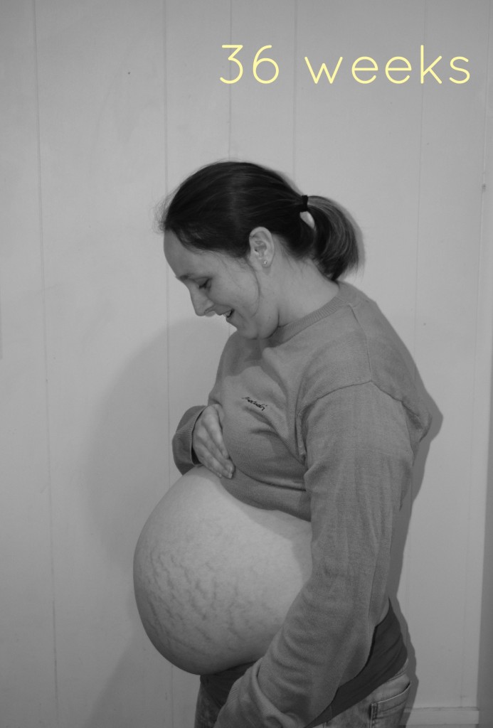 Bump watch: 36 weeks