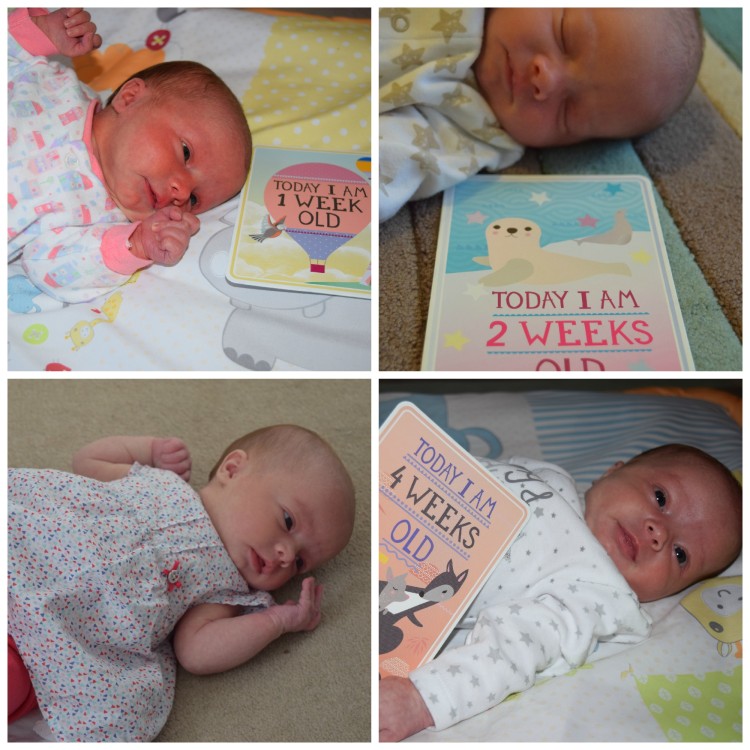 Eliza: 4 weeks old