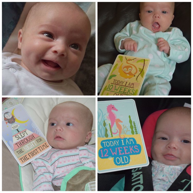 baby watch: 12 weeks old