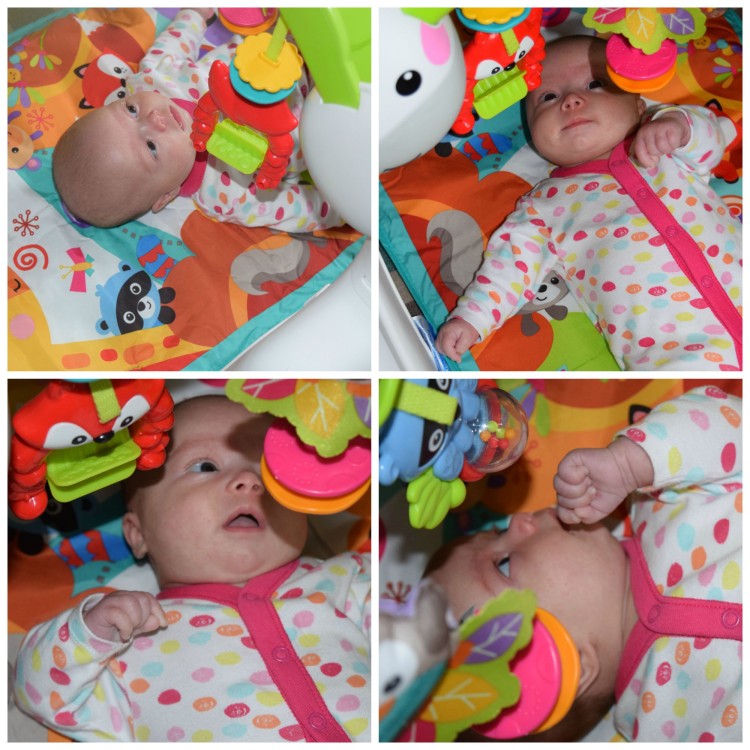 Review: Fisher Price Newborn to Toddler gym