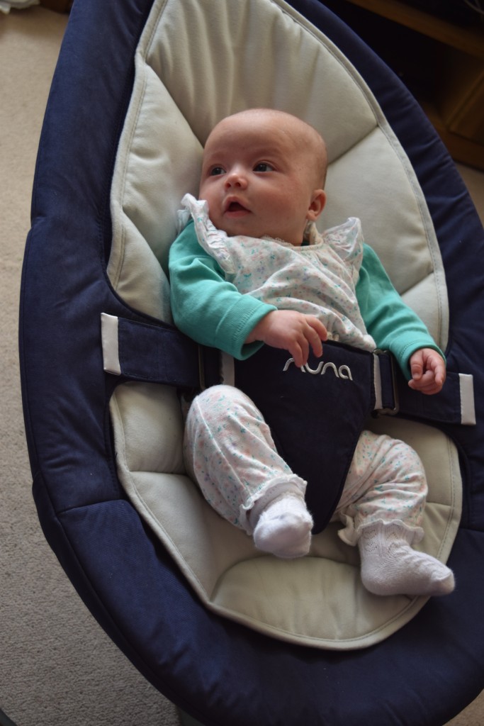 nuna rocker review