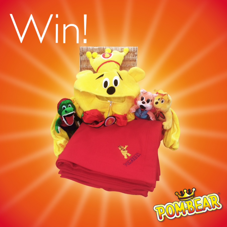 Pom Bear prizes