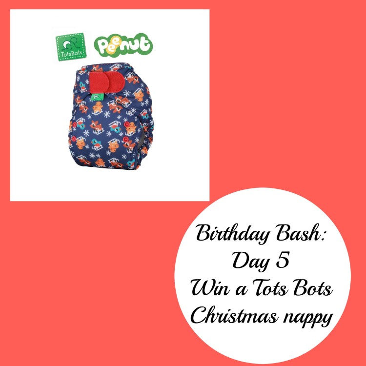 Birthday Bash: Day 5 – Win a Tots Bots PeeNut Christmas nappy