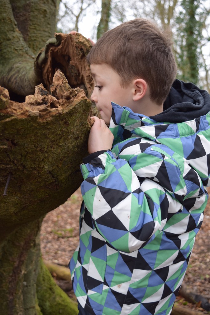 Muddy Puddles Snow Flurry jacket