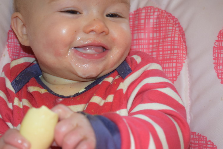 #TheMomentWeTried – weaning, new tastes & a chance to win a HiPP Sweet & Savoury bundle