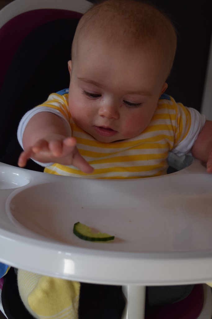 Ickle Bubba Orb highchair