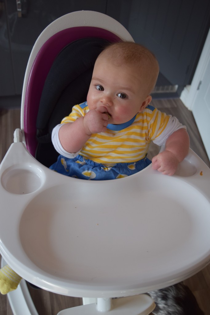 Ickle Bubba Orb highchair