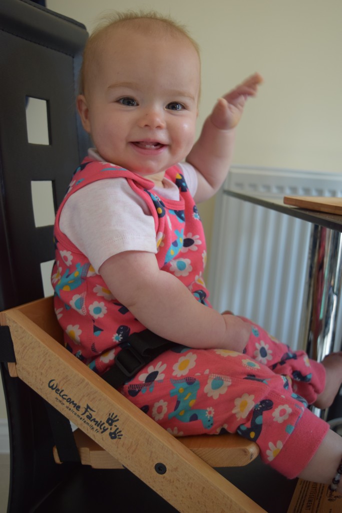 Review: Welcome Family booster seat