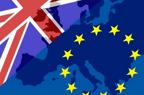 The EU referendum: Should we stay or should we go?