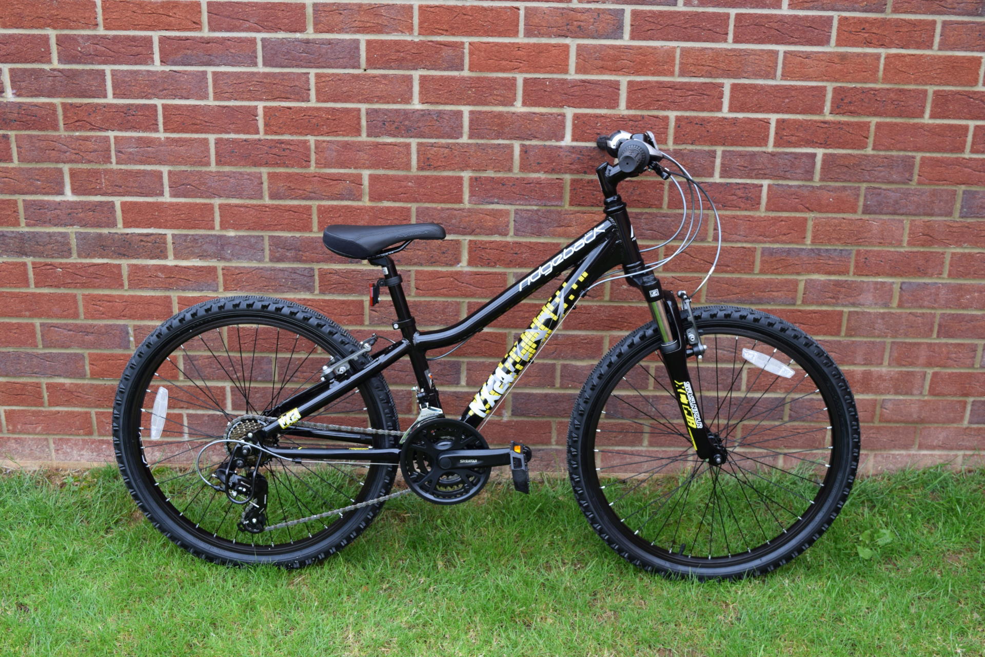 ridgeback mx18