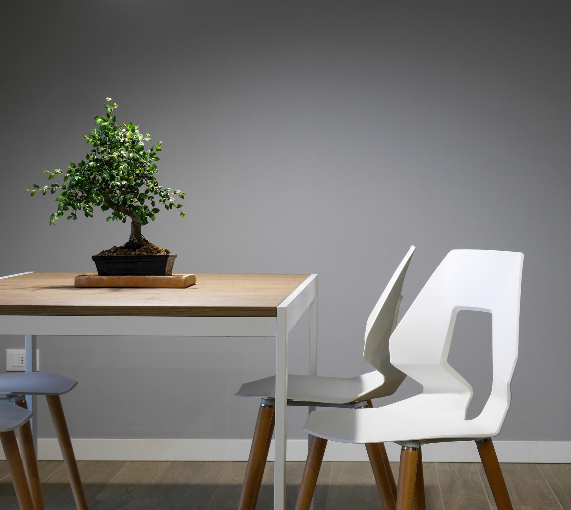 Why Going Green Is Good For Your Furniture Family Fever