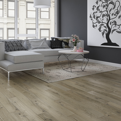 Wooden floor 2024 grey sofa