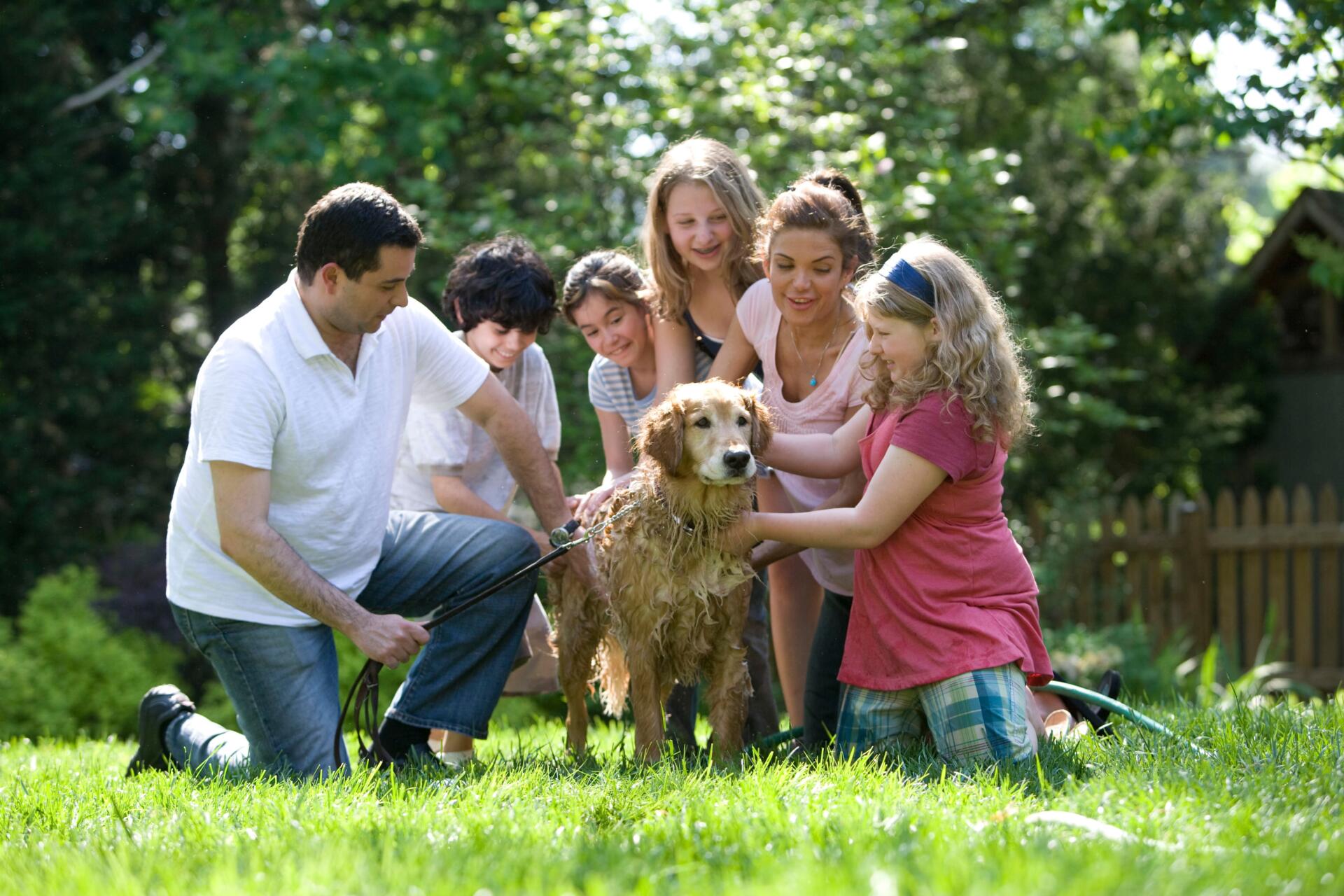 Family store with puppy