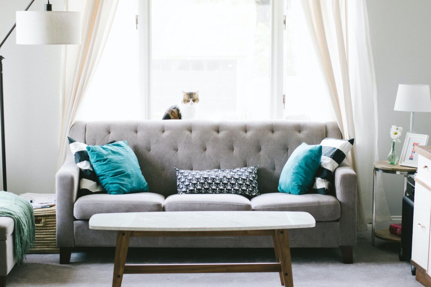 All you need to know about maintaining sofas and couches like a pro