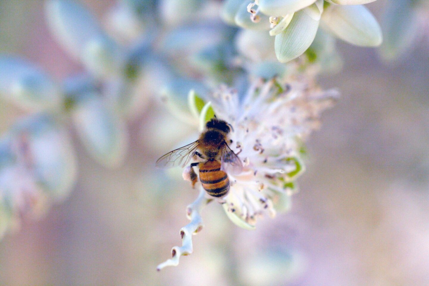 How to make your garden more wildlife friendly for your children