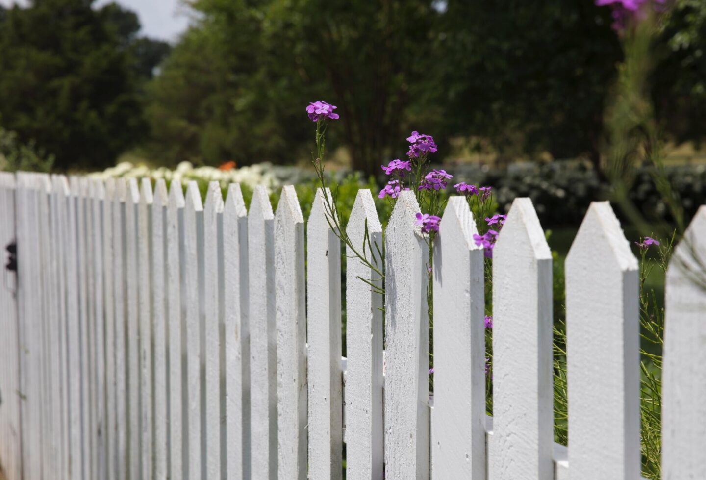 How to choose the right fencing option | 9 useful tips