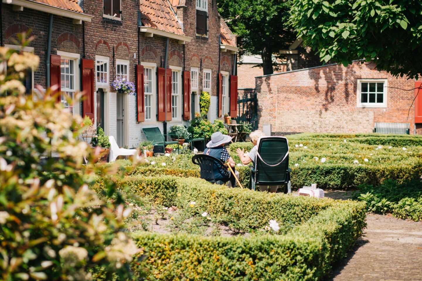 How to choose hedging for a family garden