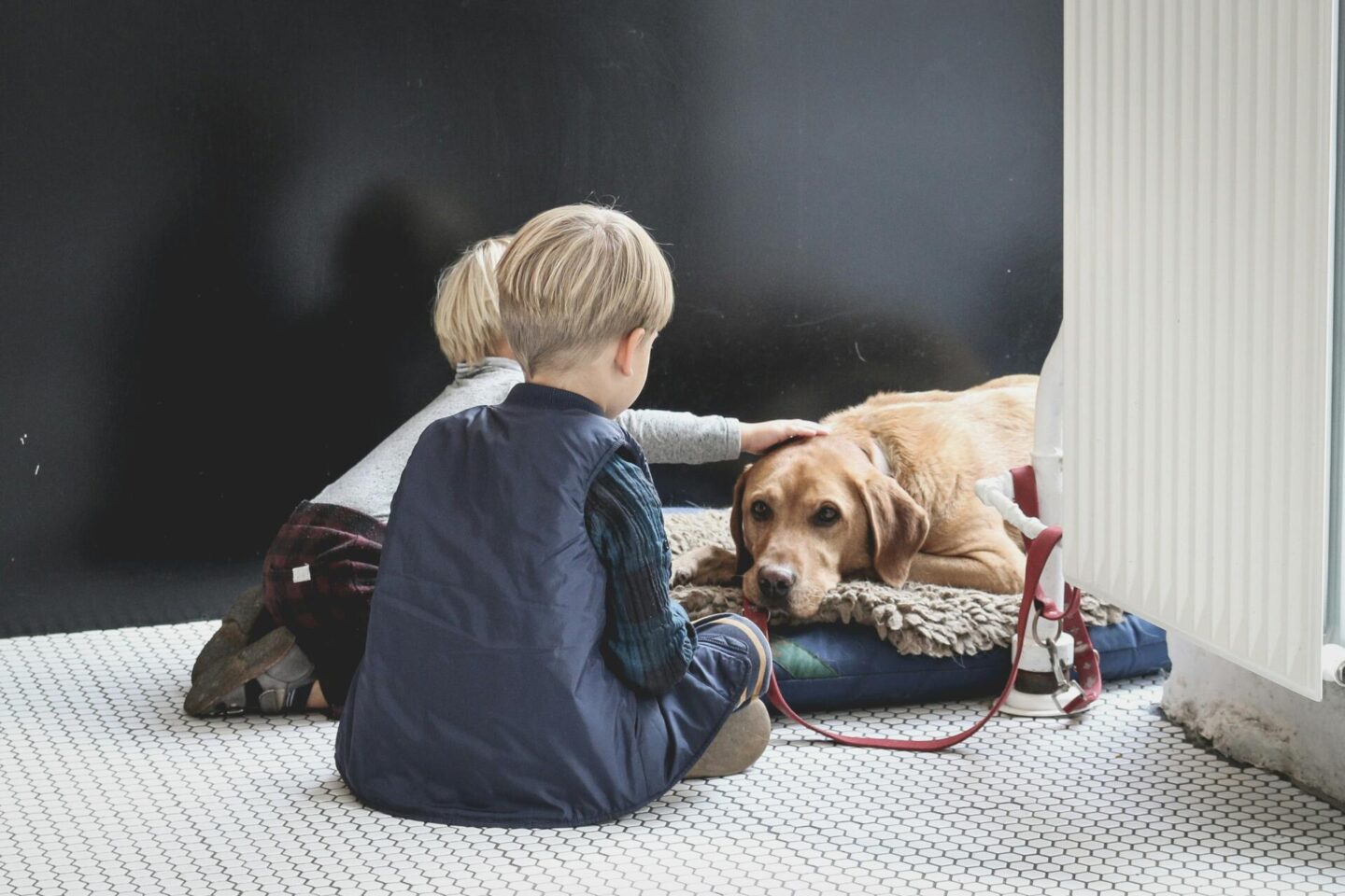 How Pets Benefit Children